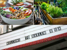 Food Tour - The Sustainable Side of Harlem in Manhattan: The Sustainable Side of Harlem