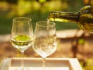 Online Cooking Class - Bites and Wines in Downtown Denver: Wine Pairings