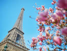 Cooking Class - Classic French Fare Inspired by Emily in Paris in Pittsburgh: a view of the eiffel tower in france for a cooking class based on emily in paris