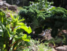 Market Tour + Class - Explore the Santa Cruz Farmers' Market in South Bay & Peninsula: Garden