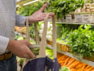 Market Tour + Cooking Class - Artisan Pasta Creation in San Francisco: action vegetables