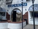 Private Food Tour - Discovering the Best of Key West in Key West: aquarium in keywest
