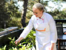 Market Tour + Cooking Class - A Farm-to-Table Lunch in East Bay: Chef's garden