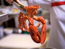 Cooking Class - Sizzling Cajun Dishes: boiling lobster