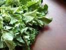 Cooking Class - Top Restaurant Creations in Manhattan: broccoli rabe