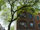 Food Tour - Meet Brooklyn's Food Artisans: brooklyn