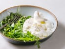 Cooking Class - The Rich Tradition of Risotto in Mid-City Area: burrata with arugula