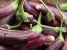 Market Tour + Class - Explore the Santa Cruz Farmers' Market in South Bay & Peninsula: Eggplant
