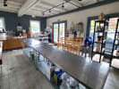 Cooking Class - Craft Traditional Chinese Dim Sum in Boston Proper: Venue of Chef Rita in Boston