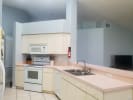 Cooking Class - Paella and Mediterranean Cuisine: chef vivian and michi's new home venue near tampa