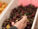 Market Tour + Cooking Class - French Brunch in San Francisco: cherries