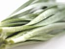 Cooking Class - Dim Sum Flavors in Downtown Dallas: chinese chive