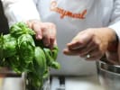 Cooking Class - Taste of the Italian Coast in Northern Virginia: choose basil leaves