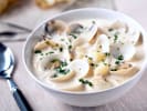clam chowder