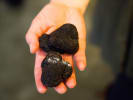Cooking Class - The $300 Crepe in San Francisco: Truffle Mushrooms