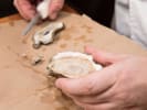 Specialty Class - Beyond Basic Cooking in Boston: Mussels Boston