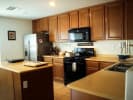Cooking Class - Italian Extravaganza in Las Vegas: Italian Cooking Las Vegas
