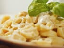 Cooking Class - Craft Ricotta Pasta From Scratch in Brooklyn: fresh Tortellini pasta on a plate