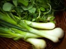 Cooking Class - Excitingly Exotic and Healthy in Portland, OR: watercress and herb salad