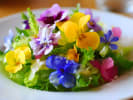 Cooking Class - Floral Pasta Workshop in Baltimore: a batch of edible flowers