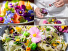 Cooking Class - Floral Pasta Workshop in Baltimore: Cooking Class  Make Floral Pasta With Chef Jesse