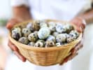 Cooking Class - Seasonal French Small Bites in San Francisco: quail eggs