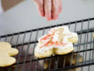 Cooking Class - Holiday Cookie Decorating in Toronto: sprinkling Christmas themed cookie
