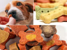 Cooking Class - Homemade No-Bake Dog Treats in Houston: no-bake dog treat workshop