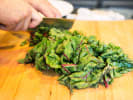 Cooking Class - Fall Harvest Party: chopping swiss chard