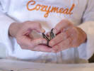 Cooking Class - Cruising Through Pacific Cuisine: mussels