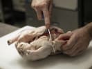 Cooking Class - Phenomenal Paleo Feast: preparing duck