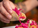 Cooking Class - Mexican Tacos From Scratch in Addison: student holding tacos