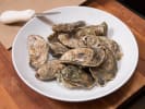 Cooking Class - Become an Oyster Expert in Northern Suburbs: oysters in shell