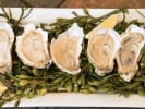 Cooking Class - Become an Oyster Expert in Northern Suburbs: oysters