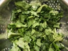 Cooking Class - Elegant Brunch Menu: baby spinach