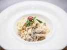 Team Building Cooking Class - Teamwork & Tagliatelle in Charlotte: alfredo sauce pasta