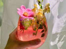 Team Building Cooking Class - Craft a Cocktail Infusion Kit in Orlando: herbal cocktail (2)