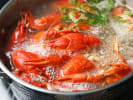 Cooking Class - Coastal Grandmother Cuisine Collection: cooking lobster for stock