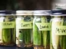 Cooking Class - Master Homemade Dips, Pickles, and Jams in San Francisco: cucumber pickles