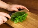 Cooking Class - Authentic South Indian Brunch in East Bay: cutting mint