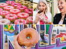 Food Tour - Historic Beignets and Donuts in New Orleans: donuts tour in NOLA