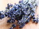 Online Mixology Class - Girl Scout Cookie Cocktail Pairing: dried lavender