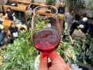 Private Food Tour + Drinks Upgrade - Taste and Toast the Mission Districtâ€™s Best in San Francisco: drinking wine