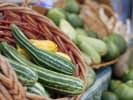 Market Tour + Class - Explore the Santa Cruz Farmers' Market in South Bay & Peninsula: Zucchini