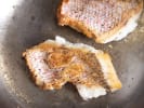 Cooking Class - Traditions of Tabasco Cuisine: eleazar red snapper