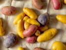 Cooking Class - Spanish Flavors From Andalusia in Manhattan: fingerling potatoes