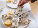 Food Tour + Drink Upgrade - Sip and Savor Seattle in Seattle: drink seattle food tour   trying fresh oysters
