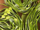Cooking Class - Satisfying Soul Food Favorites: fresh collard greens
