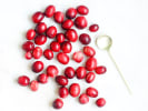 Online Cooking Class - The Perfect Thanksgiving Turkey: fresh cranberries