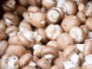 Cooking Class - Mushroom Lovers Menu: fresh mushrooms